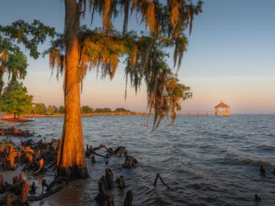 Louisiana's North Shore